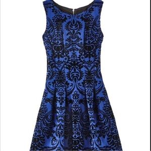 Roz & Ali cobalt blue fit-and-flare dress